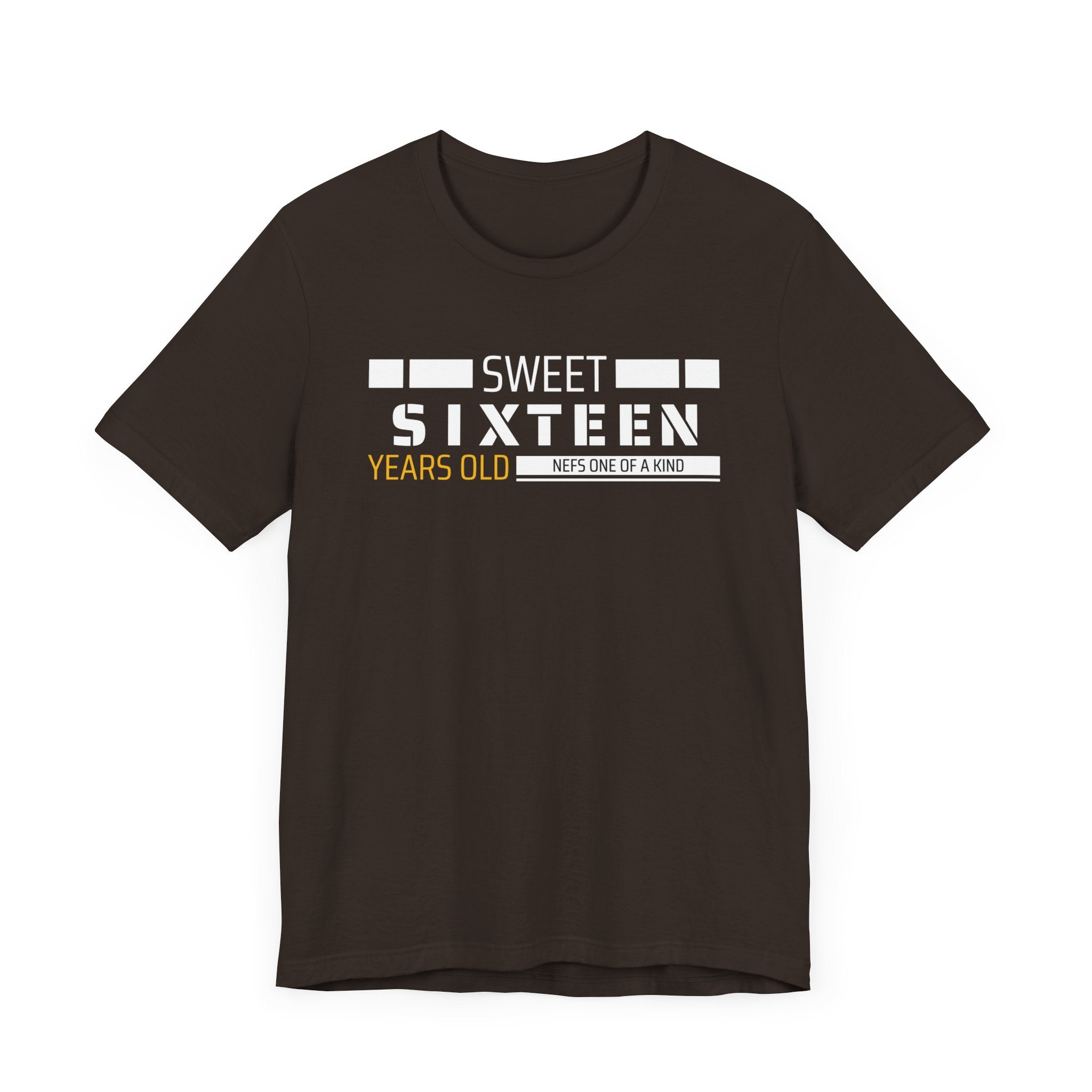 Sixteen year old Unisex Adult Tee